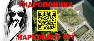 ECSTASY Кимры