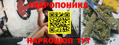 трава Кинель