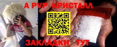ECSTASY Кимры