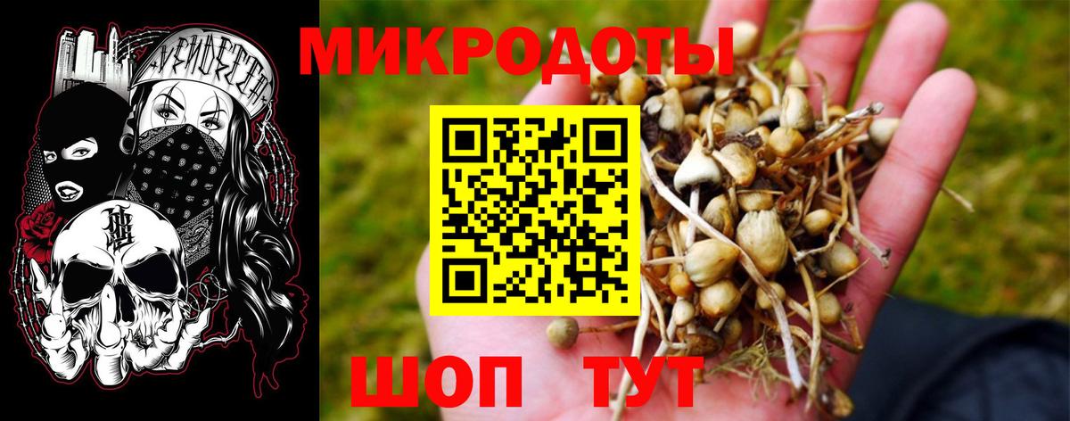 Карпинск  Галлюциногенные грибы Magic Shrooms  Вход с VPN 
